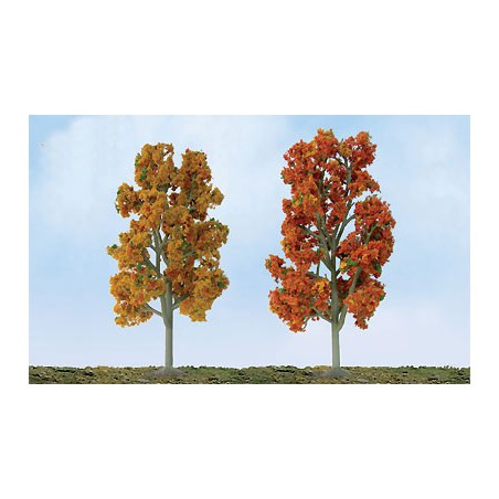 Herbst Sycomores Baum 87 bis 100 mm - Laddle Ho | Scientific-MHD