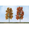 Autumn Sycomores Tree 87 to 100mm - Laddle Ho | Scientific-MHD