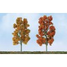 Herbst Sycomores Baum 87 bis 100 mm - Laddle Ho | Scientific-MHD