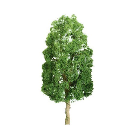 50mm Sycomores tree - Ladder N | Scientific-MHD