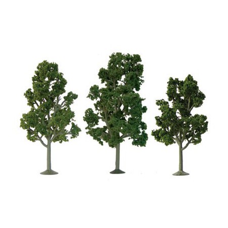 Sycomores tree 62 to 87mm - Ladder n | Scientific-MHD