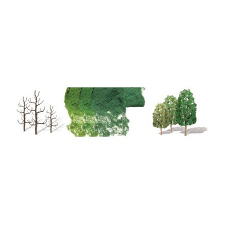 Sycomores tree 67 to 100mm - Hole | Scientific-MHD
