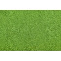 Gazons TAPIS DE GAZON VERT CLAIR - 127 x 254 cm