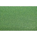 Greens of medium green lawn carpet - 127 x 254 cm | Scientific-MHD