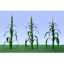 Flower plans 25mm corn - lade ho | Scientific-MHD