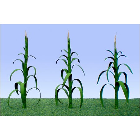 Flower plans 25mm corn - lade ho | Scientific-MHD