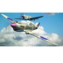 Maquette d'avion en plastique P-40B WARHAWK