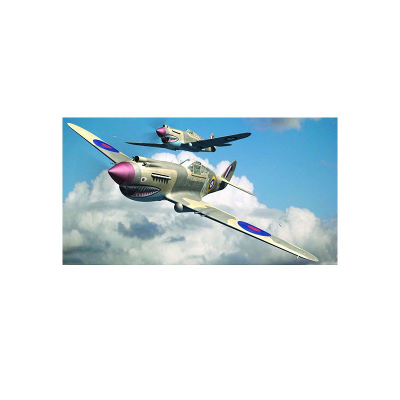 Maquette d'avion en plastique P-40B WARHAWK