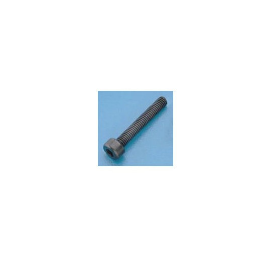 Schraubenschraube BTR M3 x 4 mm Schraubenschraube BTR M3 x 4 mm | Scientific-MHD
