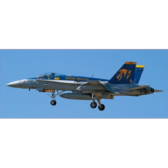Maquette d'avion en plastique F/A-18C HORNET Maquette d'avion en plastique F/A-18C HORNET