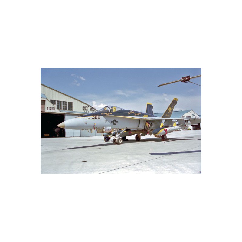 Maquette d'avion en plastique F/A-18C HORNET