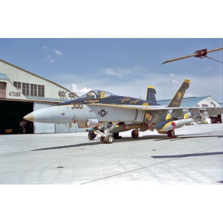 Kunststoffebene Modell F/A-18c Hornet | Scientific-MHD