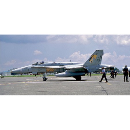 Kunststoffebene Modell F/A-18c Hornet | Scientific-MHD