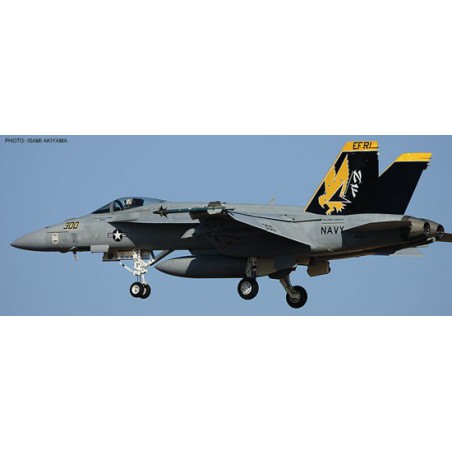 Maquette d'avion en plastique F/A-18C/E HORNET Combo 1/72