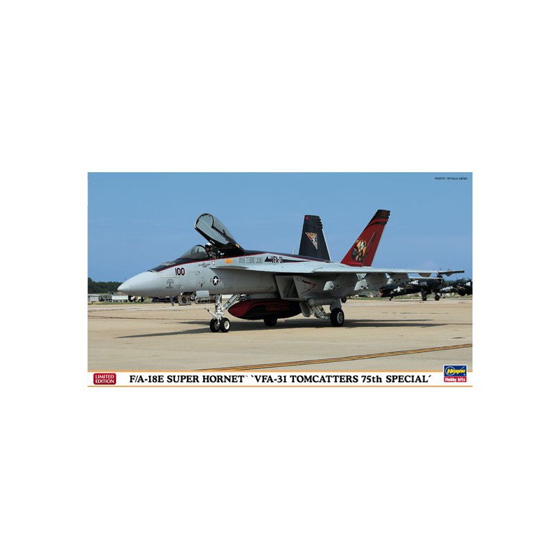 Maquette d'avion en plastique 1/72F/A-18E VFA-31 TOMCATTER