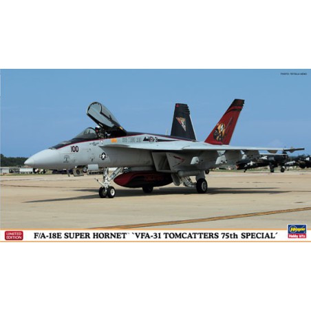 Kunststoffebene Modell 1/72F/A-18th VFA-31 Tomcatter | Scientific-MHD