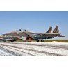 Maquette d'avion en plastique 1/72F-15I ISRAELI AF