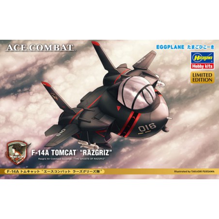 F-14A Plastikebene Modell Razgriz Eggebene | Scientific-MHD