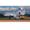 MIG-25PD Foxbat 1/72 plastic plane model | Scientific-MHD