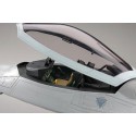Plastic plane model F-22 Raptor 1/48 (PT45) | Scientific-MHD