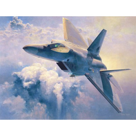 Plastic plane model F-22 Raptor 1/48 (PT45) | Scientific-MHD