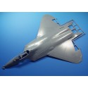 Kunststoffebene Modell F-22 Raptor 1/48 (PT45) | Scientific-MHD