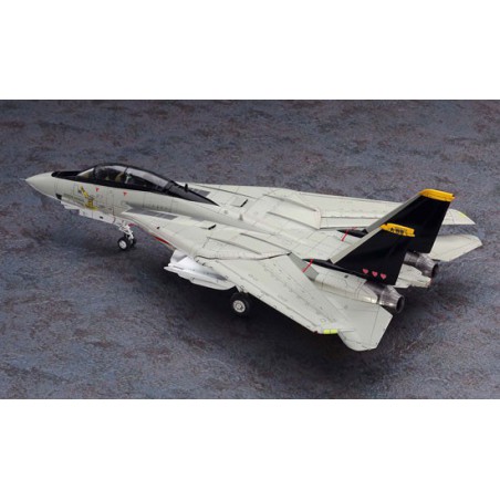 F-14A plastic plane model Tomcat ™ “Micky Scymon” | Scientific-MHD