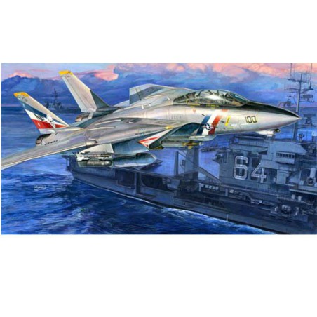 F-14d Super Tomcat Plastikflugzeugmodell | Scientific-MHD