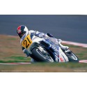 YZR500 Tech 21 1989 1/12 Plastikmotorradmodell | Scientific-MHD