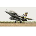 Rafale B plastic plane model | Scientific-MHD