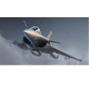 Rafale Plastikmodell C. | Scientific-MHD