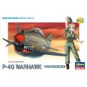 Eierebene P-40 Warhawk Plastikflugzeugmodell | Scientific-MHD