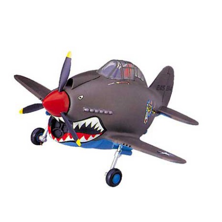 Eierebene P-40 Warhawk Plastikflugzeugmodell | Scientific-MHD