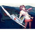 Shidenkai no maki 1/48 plastic plane model | Scientific-MHD