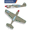 USAAF P-40N 1/48 plastic plane model | Scientific-MHD