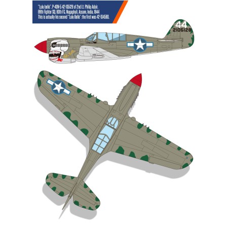 Maquette d'avion en plastique USAAF P-40N 1/48