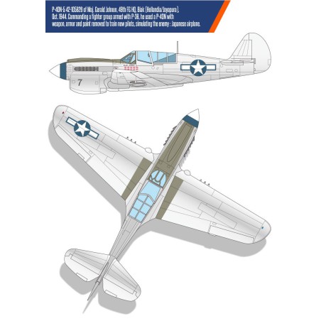 Maquette d'avion en plastique USAAF P-40N 1/48