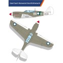 Maquette d'avion en plastique USAAF P-40N 1/48