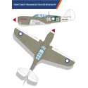 USAAF P-40N 1/48 plastic plane model | Scientific-MHD