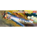 Maquette d'avion en plastique P-47D Bubble Top 1/72