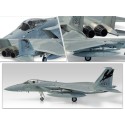 F-15 plastic plane model MSIP II 144th FW 1/72 | Scientific-MHD