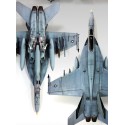 Maquette d'avion en plastique USN F/A-18E VFA-143 1/72