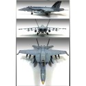 Maquette d'avion en plastique USN F/A-18E VFA-143 1/72