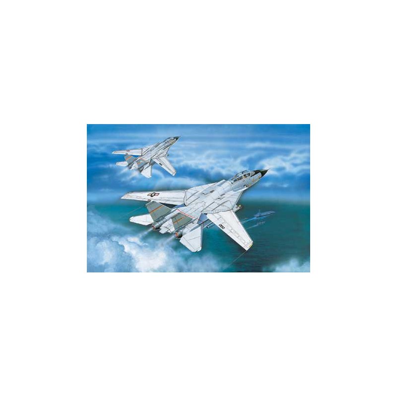 Maquette d'avion en plastique F-14A TOMCAT 1/100