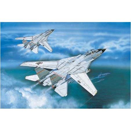 F-14A plastic plane model Tomcat 1/100 | Scientific-MHD