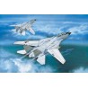 Maquette d'avion en plastique F-14A TOMCAT 1/100