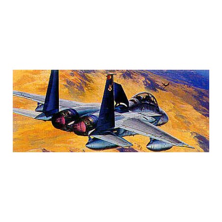 F-15D plastic model Eagle1/72 | Scientific-MHD