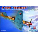 P-40 m plastic plane model Warhawk 1/72 | Scientific-MHD