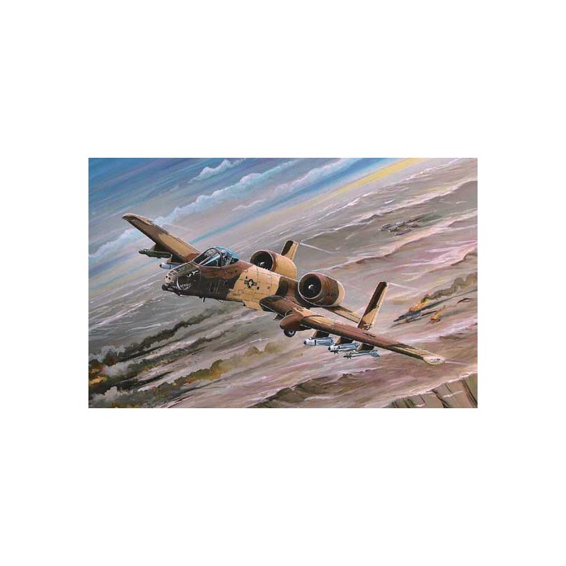 Maquette d'avion en plastique A-10A THUNDERBOLT II1/72