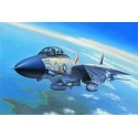 F-14A plastic plane model Tomcat 1/72 | Scientific-MHD